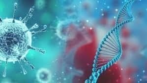 جهش های ویروس کرونا افزایش یافته است