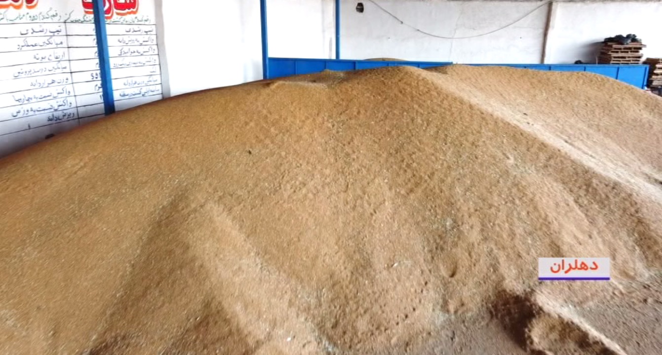 زمینهای کشاورزی در انتظار بذر زمینهای کشاورزی در انتظار بذر