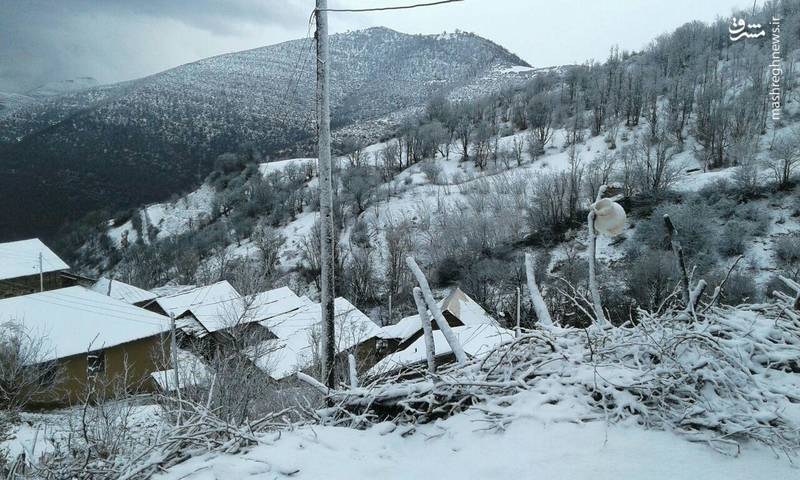 موج جدید بارش ها در گیلان موج جدید بارش ها در گیلان