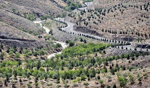 ایجاد کمربند حفاظتی در سطح ۷۵۰ هکتار کیلومتر از اراضی ملی استان ایجاد کمربند حفاظتی در سطح ۷۵۰ هکتار کیلومتر از اراضی ملی استان