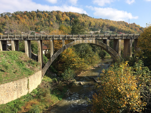 بنا‌های تاریخی شیرگاه