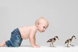 چگونه می توان اخلاق خوب را به کودک آموزش داد؟