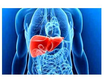 کبد چرب، بیماری خاموش کبد چرب، بیماری خاموش