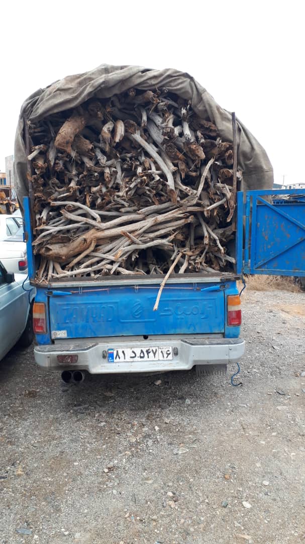 کشف بیش از دو تن چوب جنگلی تاغ در منطقه سفید شهر