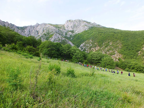 آشنایی با داروخانه طبیعی ایران