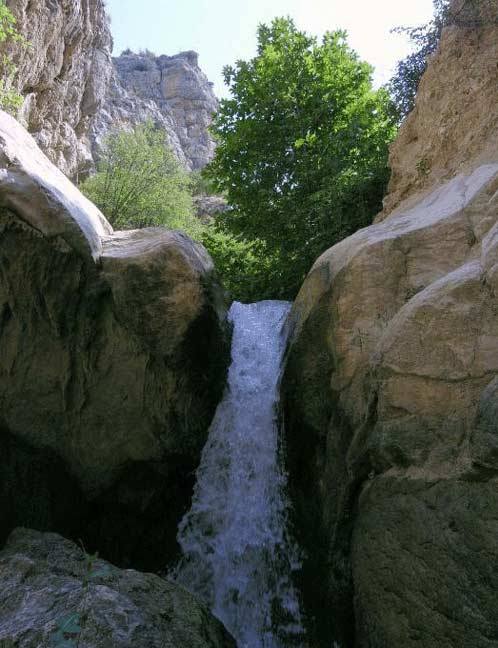 آشنایی با داروخانه طبیعی ایران