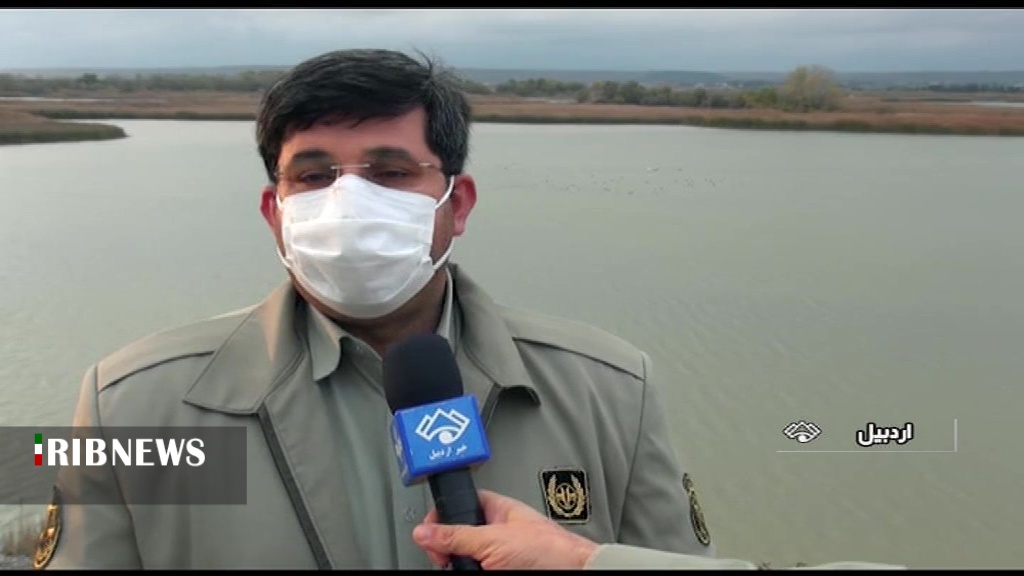 زمستان گذرانی بیش از ۳۰ هرار قطعه پرنده مهاجر