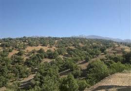 محدوده کشی قبرستان محمودآباد یاسوج آغاز شد