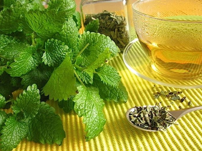 عصاره نعنا چه خواص و مضراتی دارد؟ عصاره نعنا چه خواص و مضراتی دارد؟