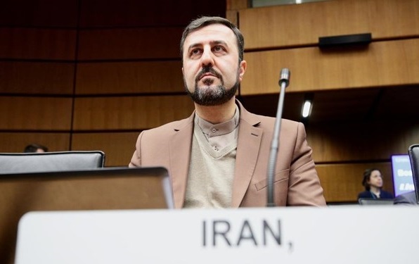 غریب آبادی: نقش آژانس فقط راستی آزمایی است