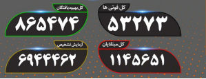 ۱۷۸بیمار دیگر نیز جان باختند