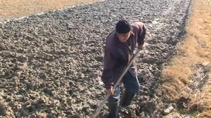 توصیه های هواشناسی به کشاورزان