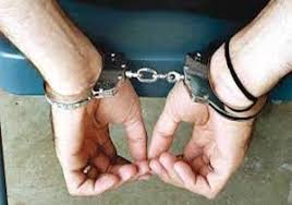 خودرو حامل مرغ توقیف شد خودرو حامل مرغ توقیف شد