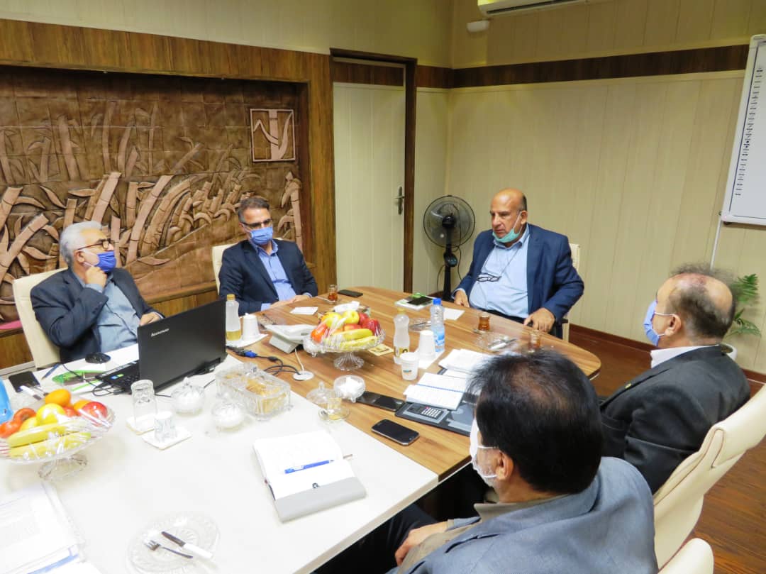 برداشت سبز در مزارع نیشکر برداشت سبز در مزارع نیشکر