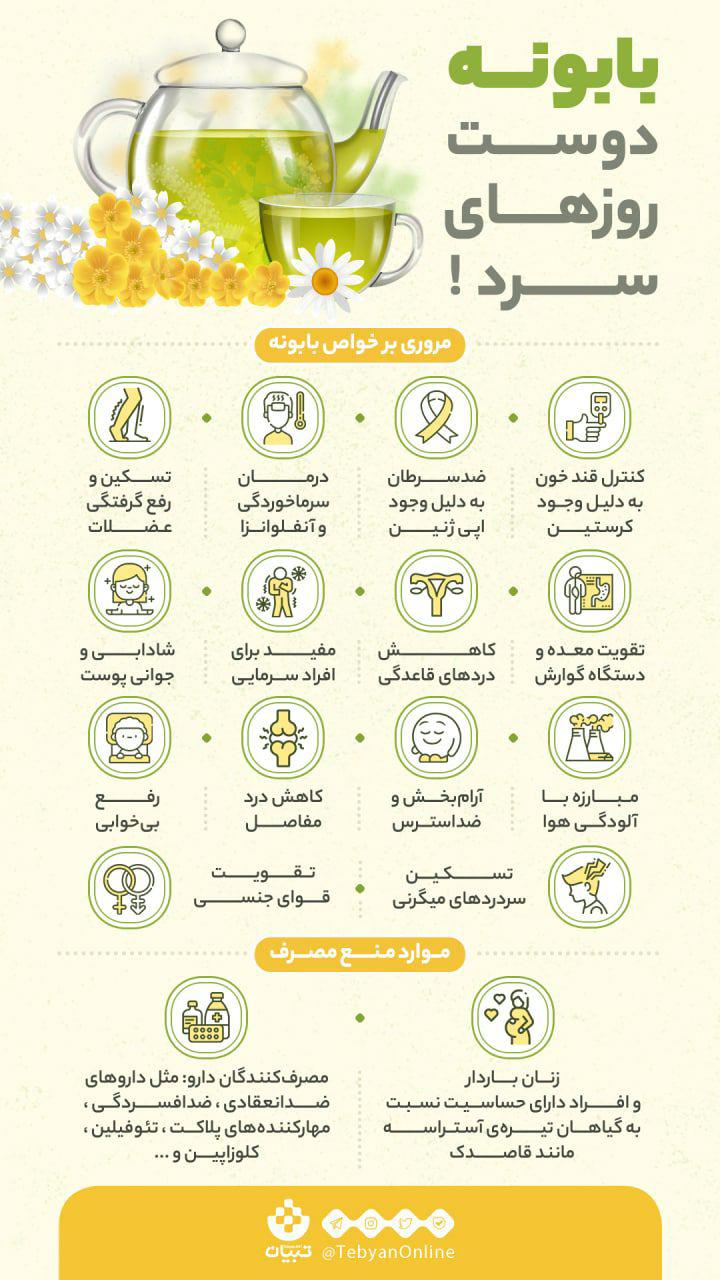 دوست روزهای سرد چیست؟ دوست روزهای سرد چیست؟