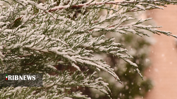 پاییز در شوق نخستین برف