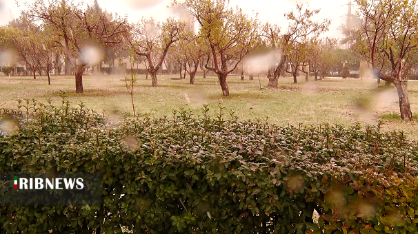 ادامه بارش برف و باران در زنجان ادامه بارش برف و باران در زنجان
