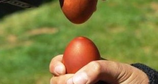 بازی سنتی مهریز ویژه ایام نوروز