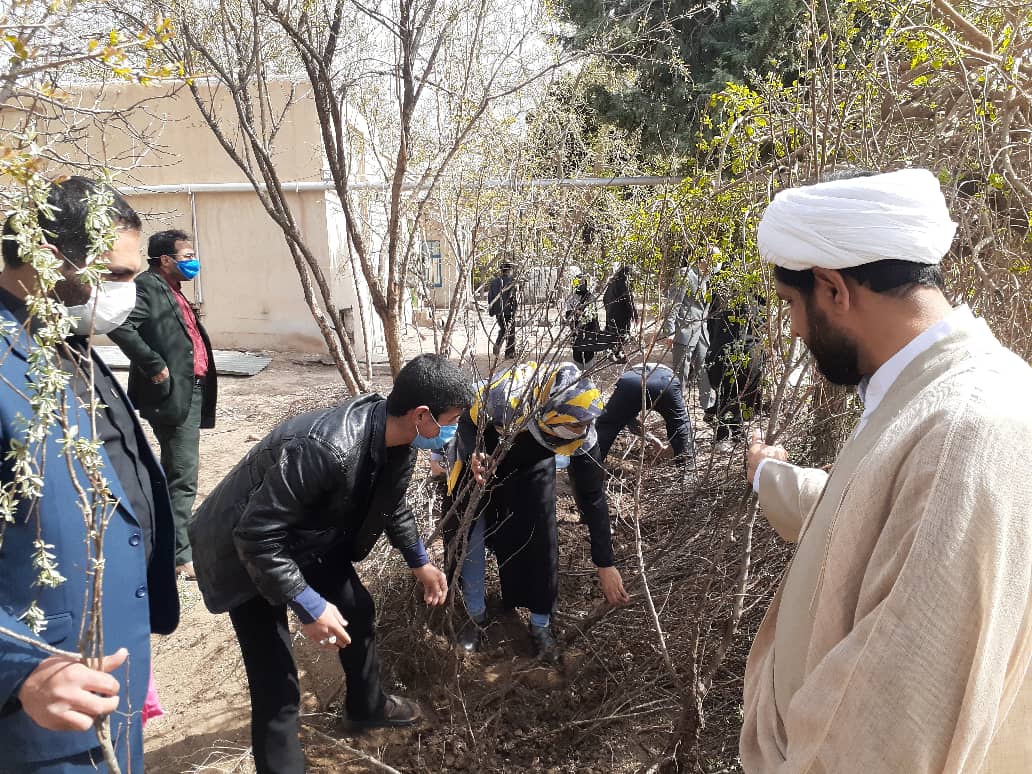 پویش مردمی نهال انتظار در سبزوار پویش مردمی نهال انتظار در سبزوار