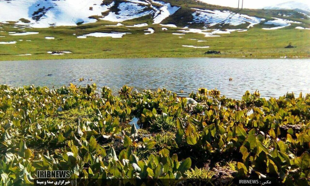 جاذبه های گردشگری اردبیل ( قسمت یازدهم، تالاب ها) جاذبه های گردشگری اردبیل ( قسمت یازدهم، تالاب ها)