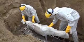 جنوب غرب خوزستان، سراسر داغدار عزیزانش