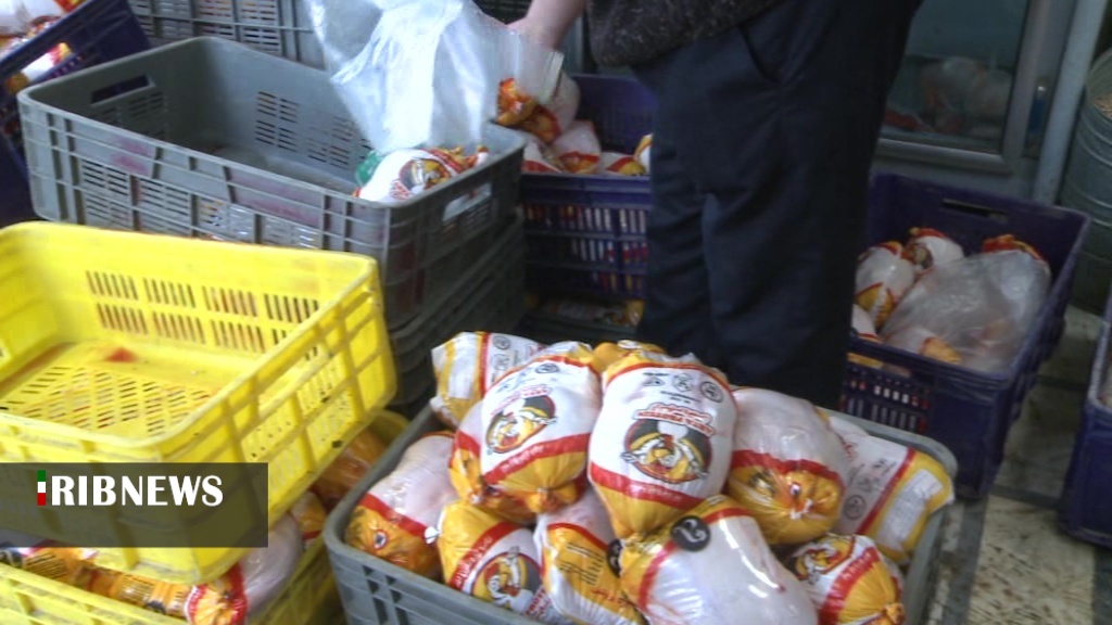 ۷۰ درصد نیاز مرغ استان اردبیل تأمین شده است ۷۰ درصد نیاز مرغ استان اردبیل تأمین شده است