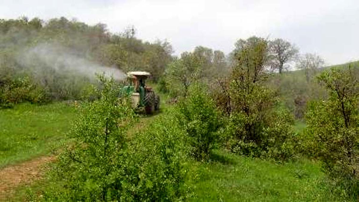 کنترل بیولوژیک آفت جوانه خوار بلوط در ارتفاعات سالند