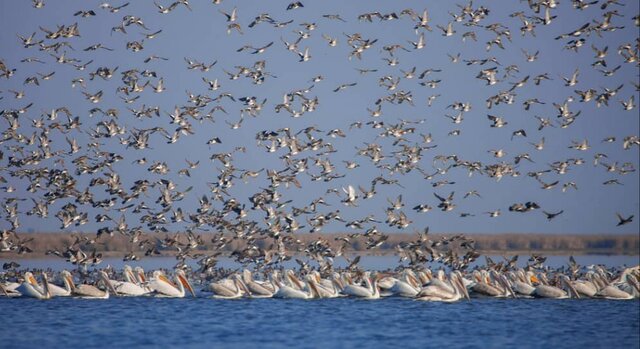 ممنوعیت بازدید از پناهگاههای حیات وحش مازندران