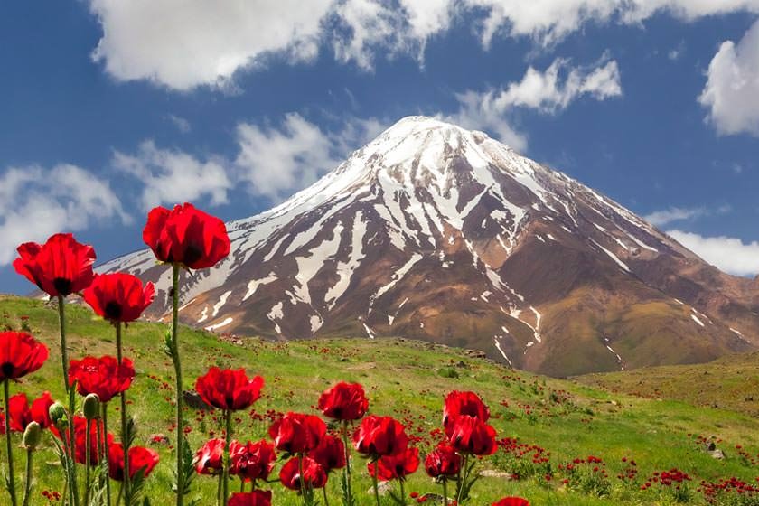 دشت لار، دشت شقایقهای تهران دشت لار، دشت شقایقهای تهران