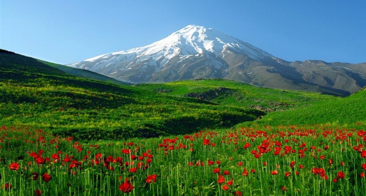 دشت لار، دشت شقایقهای تهران دشت لار، دشت شقایقهای تهران