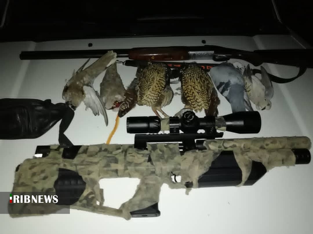 دستگیری یک گروه شکارچی غیرمجاز در شوشتر دستگیری یک گروه شکارچی غیرمجاز در شوشتر