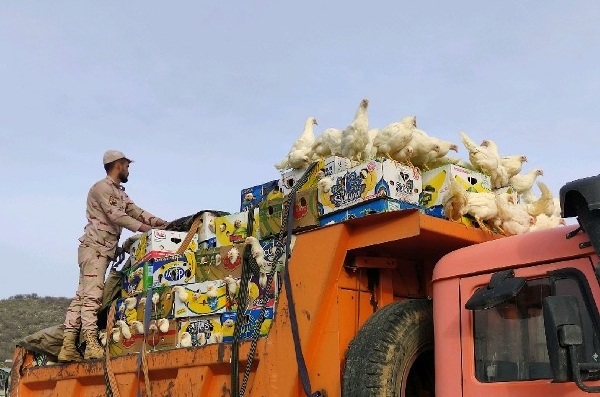 توقیف دو دستگاه کامیون حامل مرغ زنده قاچاق  در زاهدان توقیف دو دستگاه کامیون حامل مرغ زنده قاچاق  در زاهدان