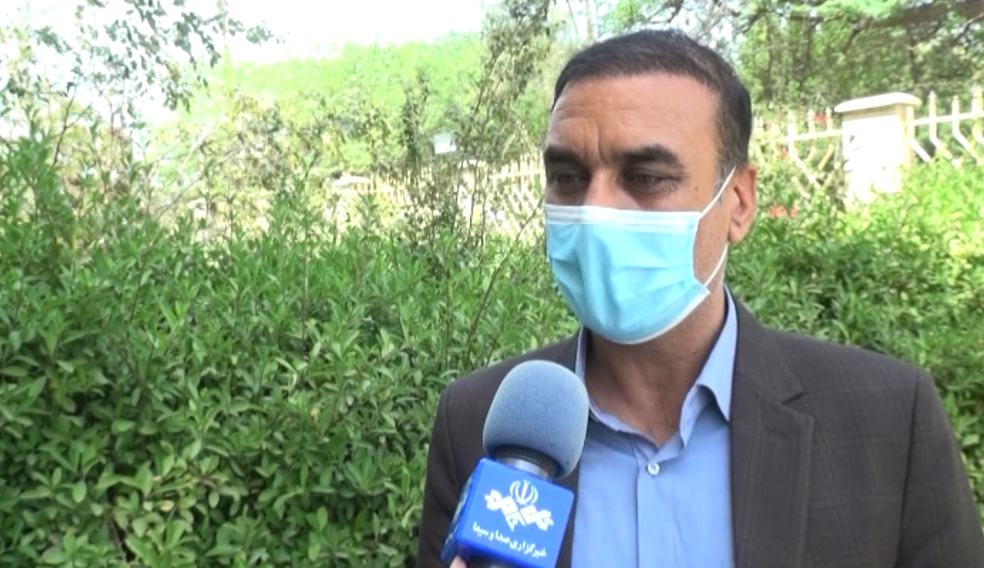 عرضه ۱۷۰ تن مرغ گرم در استان بوشهر عرضه ۱۷۰ تن مرغ گرم در استان بوشهر