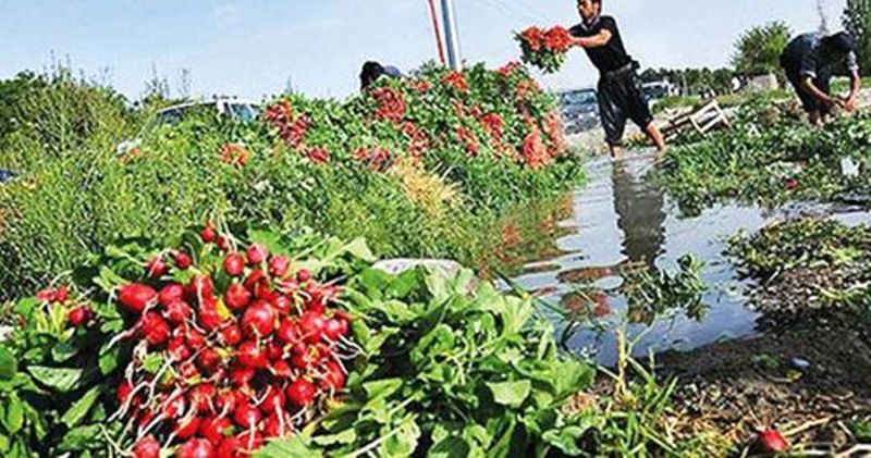 کوتاه شدن دست متعرضان به آب آشامیدنی در گچساران کوتاه شدن دست متعرضان به آب آشامیدنی در گچساران