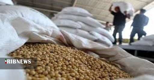 تامین ۲۵۰۰تُن بذر سویا برای کشت در گلستان تامین ۲۵۰۰تُن بذر سویا برای کشت در گلستان