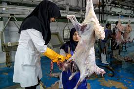 نظارت ۴۶ گروه بهداشتی بر دامپزشکی مرکزی در ماه رمضان