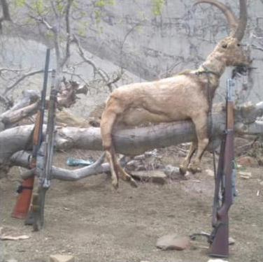 دستگیری شکار چیان غیر مجاز در اندیکا دستگیری شکار چیان غیر مجاز در اندیکا