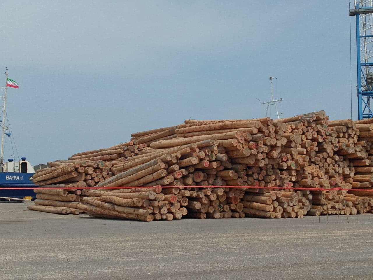 تخلیه محموله چوب گرد و نراد کشور روسیه در بندر فریدونکنار