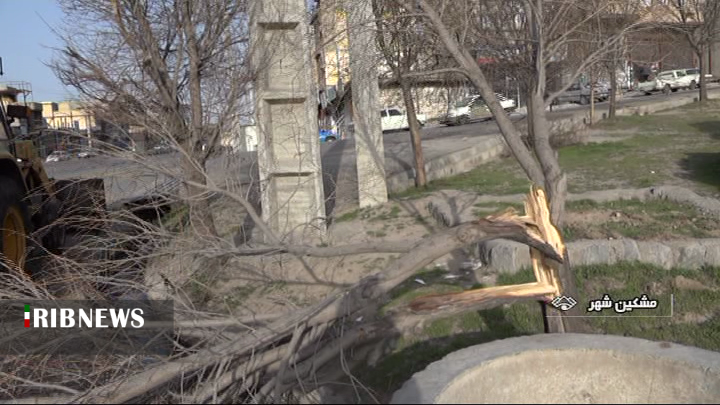 تند باد مشگین شهر را در نوردید تند باد مشگین شهر را در نوردید