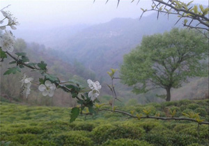 آسمانی مازندران سیزدهبدر آفتابی