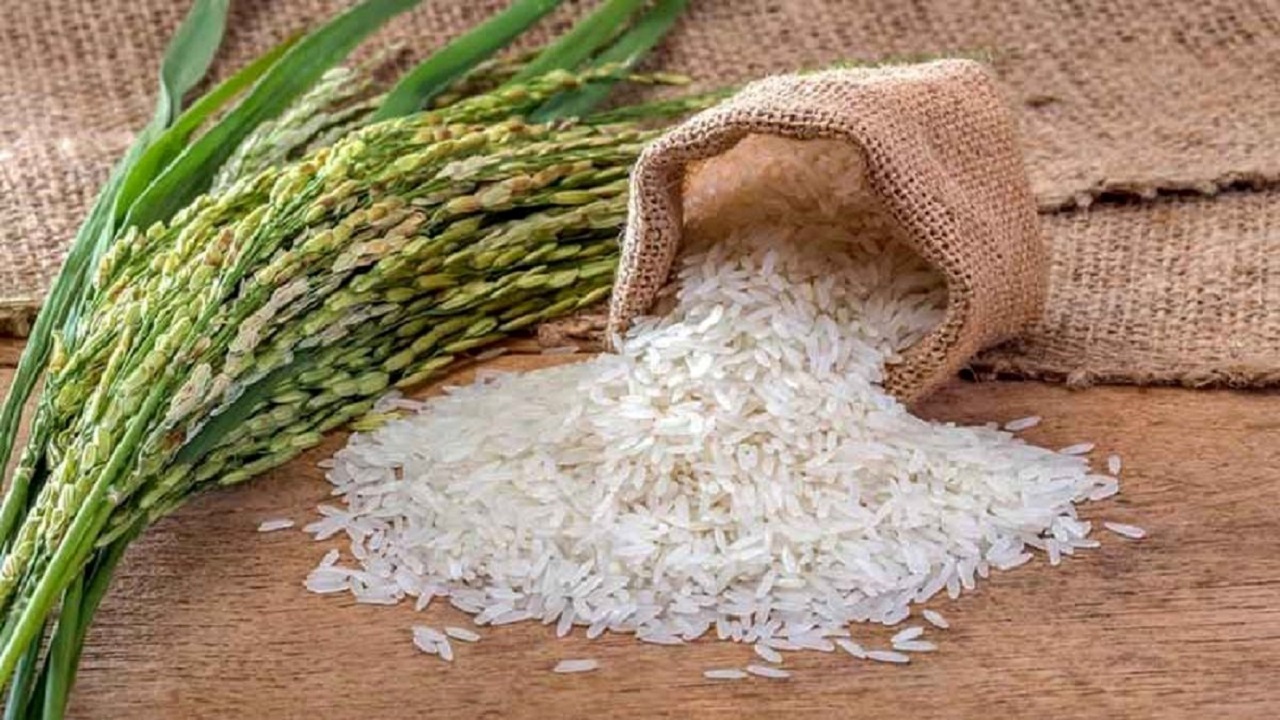 ۱۱ جایگزین سالم برای برنج