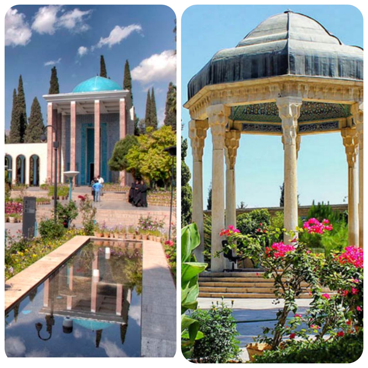 مهمانی که خود میزبان شد