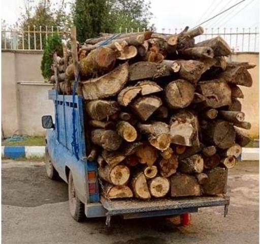 لورفتن انبار چوب بلوط لورفتن انبار چوب بلوط