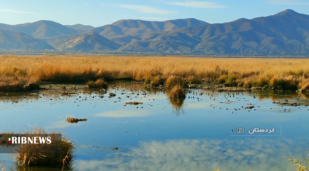 مرگ یک تالاب دیگر نزدیک است