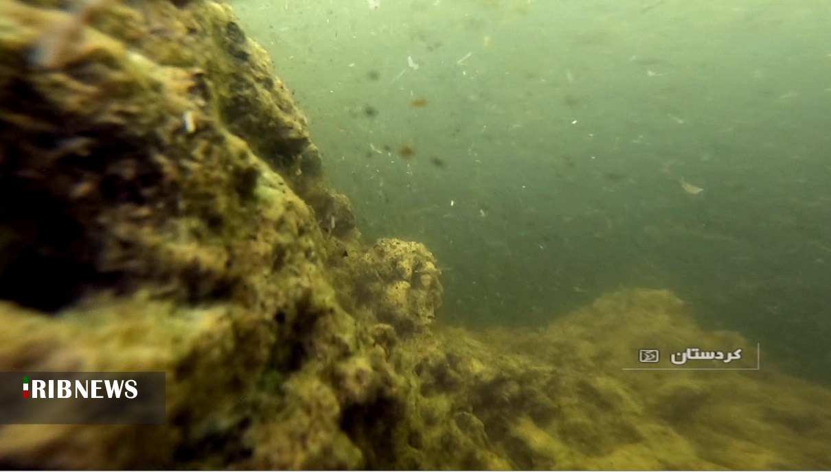 مرگ یک تالاب دیگر نزدیک است