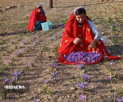 توانمند سازی جوامع محلی خوزستان؛ گامی در جهت حفظ و احیای منابع طبیعی توانمند سازی جوامع محلی خوزستان؛ گامی در جهت حفظ و احیای منابع طبیعی