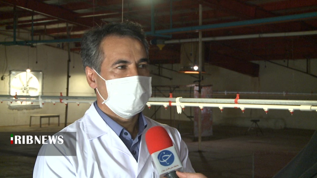 آماده باش تیم&zwnj;های واکنش سریع پیشگیری از آنفلوانزای فوق حاد پرندگان