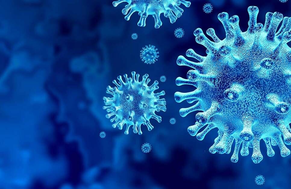 شانزدهمین روز بدون فوتی کرونا در ایلام ثبت شد شانزدهمین روز بدون فوتی کرونا در ایلام ثبت شد