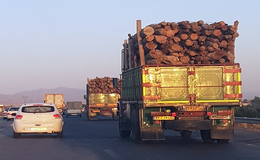 توقیف خودروهای عاملان قطع درختان جنگلی در دزفول توقیف خودروهای عاملان قطع درختان جنگلی در دزفول