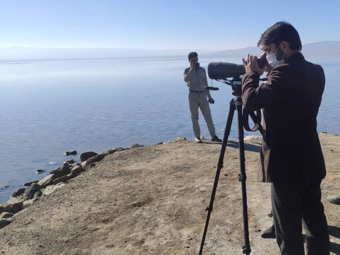 پایش بیماری آنفلوانزای فوق حاد پرندگان در تالاب کجی نمکزار